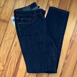 NWT Gap Always Skinny Jeans 8/29R